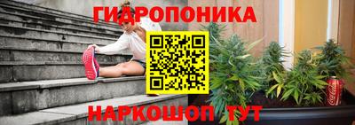 дурь Анжеро-Судженск