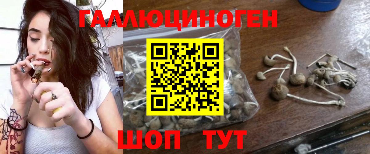 Белореченск  Галлюциногенные грибы GOLDEN TEACHER  Вход с VPN 